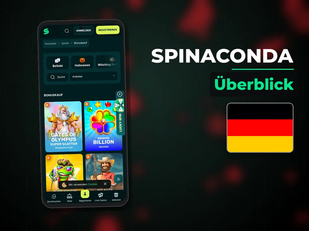 Spinaconda - Überblick