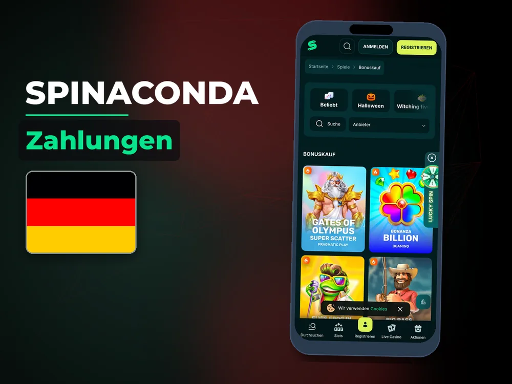 Spinaconda - Zahlungen