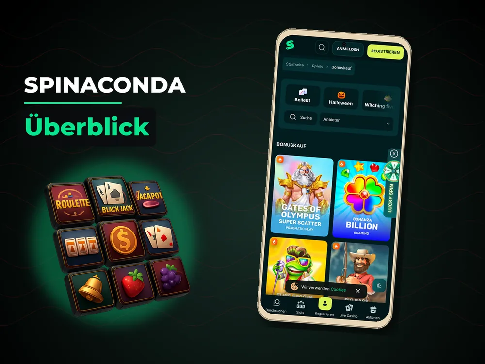 Spinaconda - Überblick