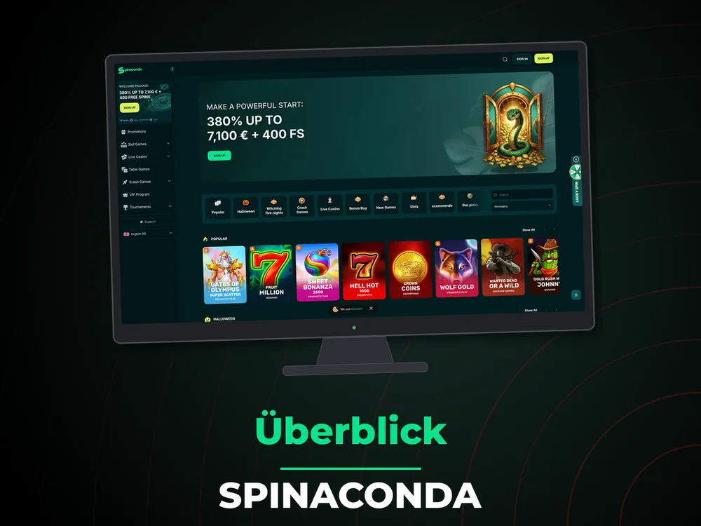 Spinaconda - Überblick